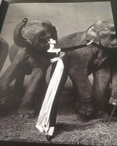 Photo extraite du catalogue de l'exposition Dovima et les éléphants- Ricahrd Avedon (c)defilenarchive.com